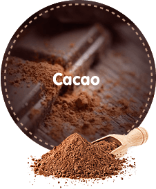 Cacao